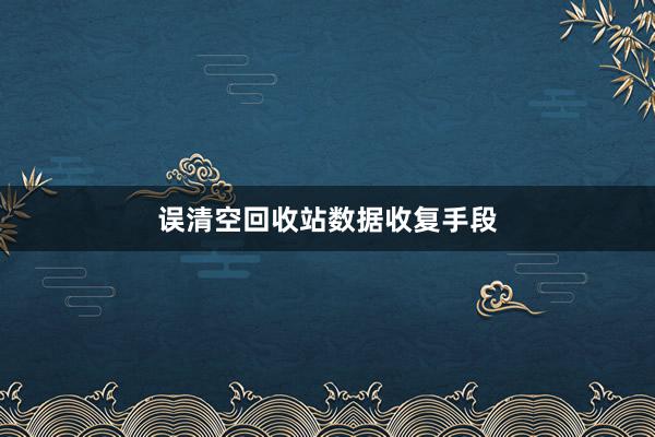 误清空回收站数据收复手段