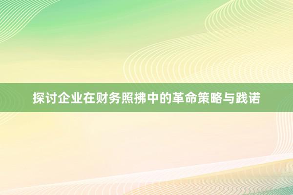 探讨企业在财务照拂中的革命策略与践诺