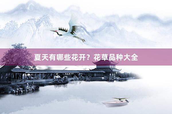 夏天有哪些花开？花草品种大全